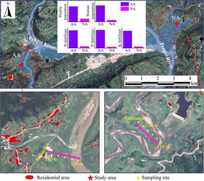 Anthropogenic Pollution Intervenes the Recovery Processes of Soil Archaeal Community Composition and Diversity From Flooding